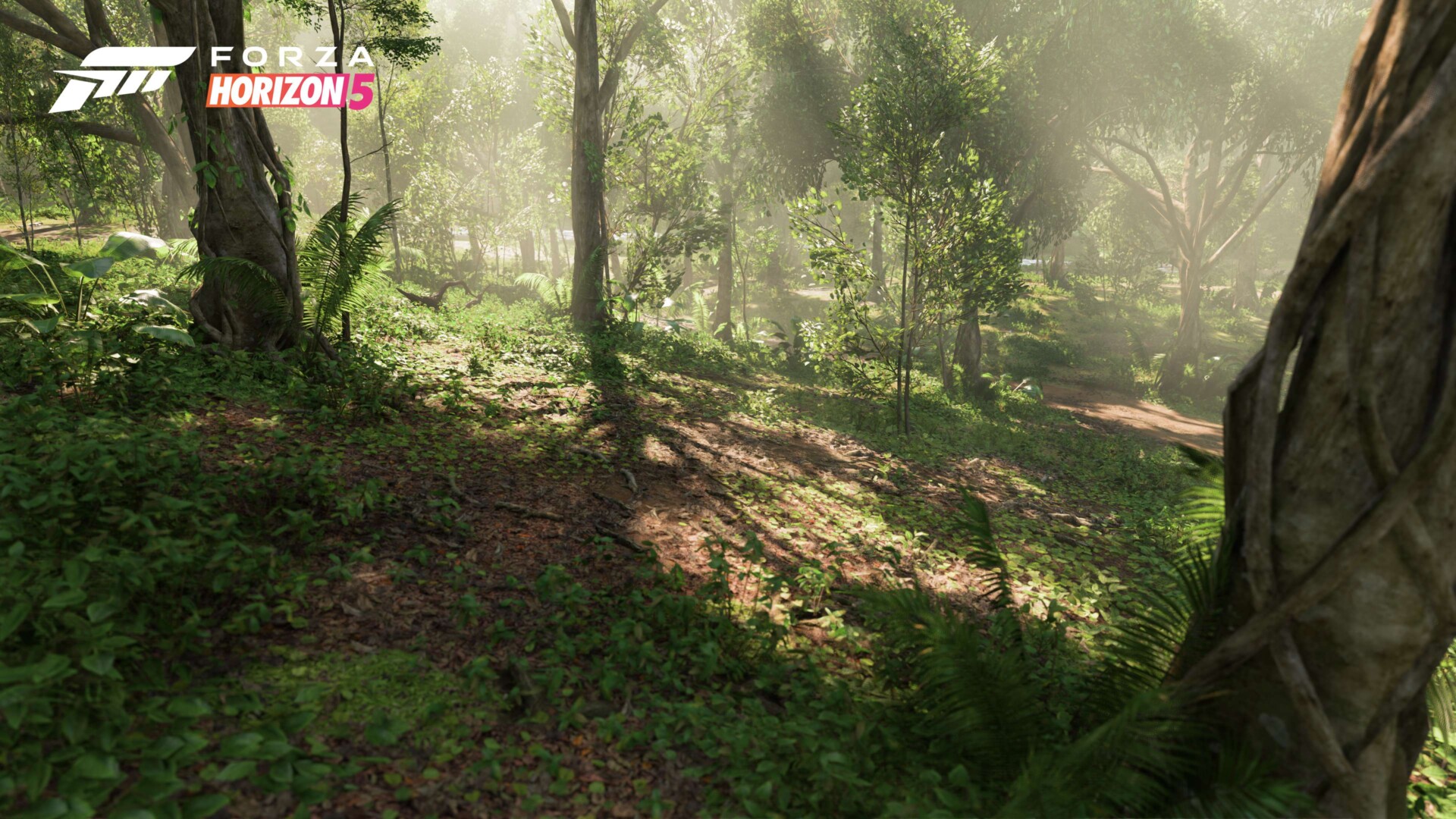 Fh5 Biome Jungle 03 16x9 Wm