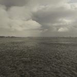 Microsoft Flight Simulator Rex Global Airport Textures Revisión de lluvia predeterminada de Asobo