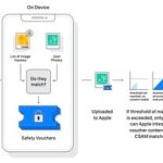 diagrama de flujo de apple csam