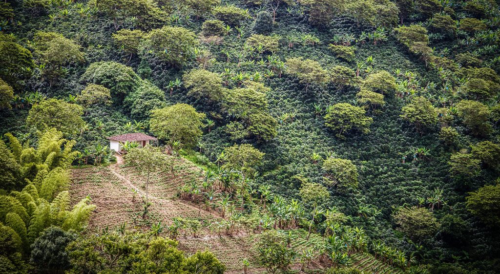 Una casa rodeada de árboles y tierras de cultivo.