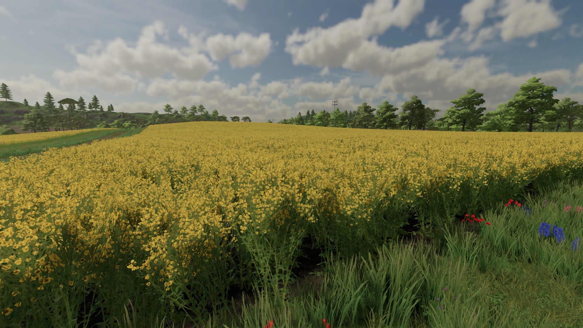 Farming Simulator 22 piezas de Canola Cuties