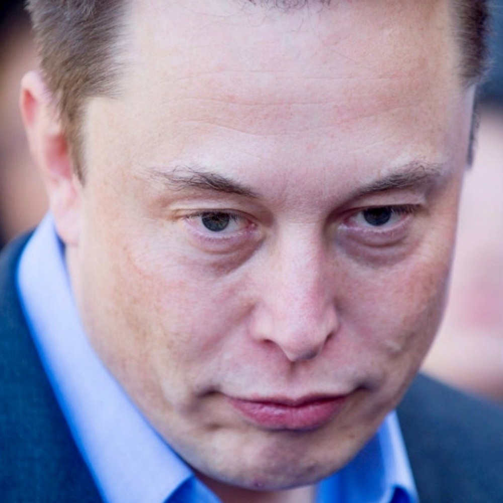 15 simios habrían muerto mientras les probaban el chip cerebral de Elon Musk