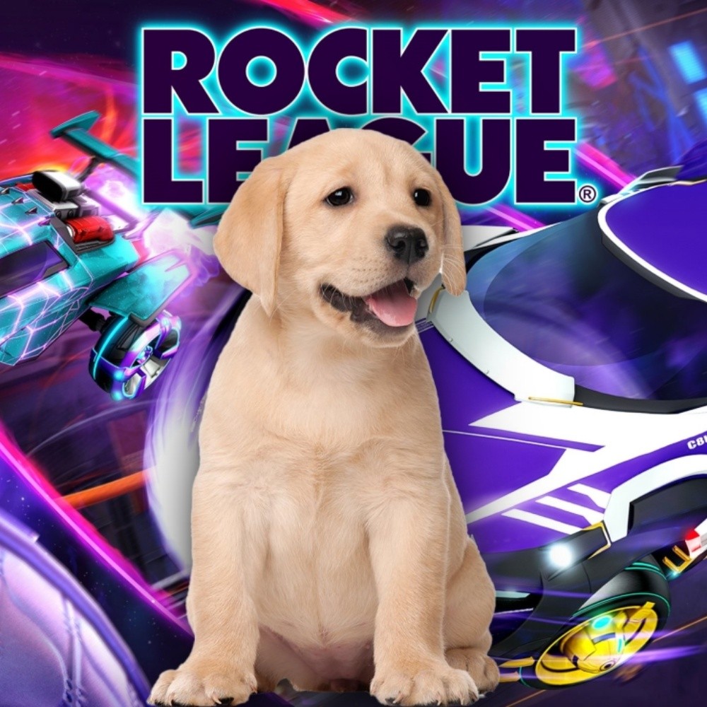 Existe un perrito que juega Rocket League mejor que muchos humanos