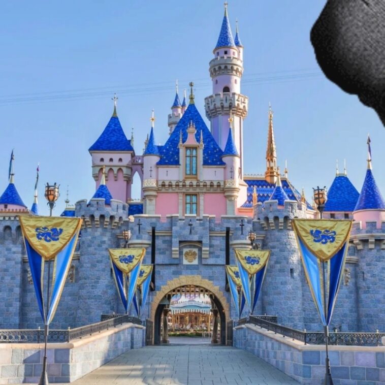 Disney ya no está vendiendo el souvenir con diseño robado