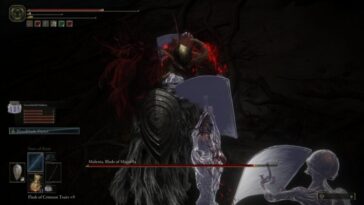 Eldr Sec Summ Mmctr 1a