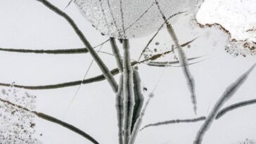 Una foto aérea de hielo agrietado