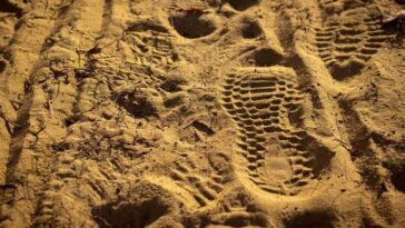 Sus huellas digitales son más que un riesgo para la privacidad: podrían ayudar a los piratas informáticos a infiltrarse en las redes informáticas