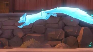 supervisión 2 zorro