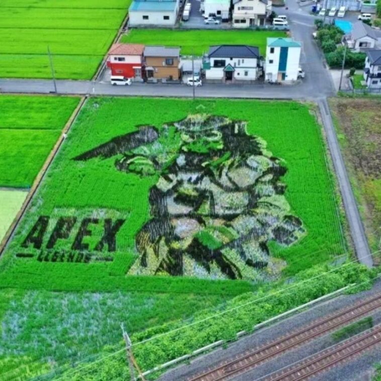 Crea un increíble arte de Apex Legends en un campo de arroz en Japón