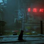 Este es el gato de la vida real que inspiró el gato de Stray