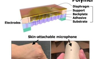 Oír mejor con la piel que con las orejas