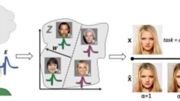 Usando señales eléctricas de cerebros humanos, el nuevo software puede realizar la edición de imágenes computarizadas