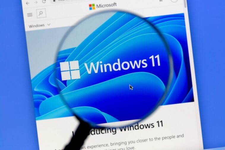 sistema operativo Windows 11