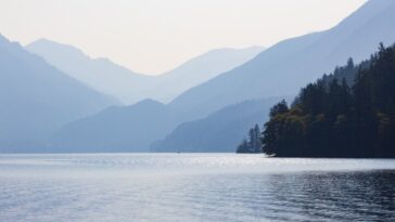 Apple, remote work, HR, Mobile, Deloitte, iPhone, future of work