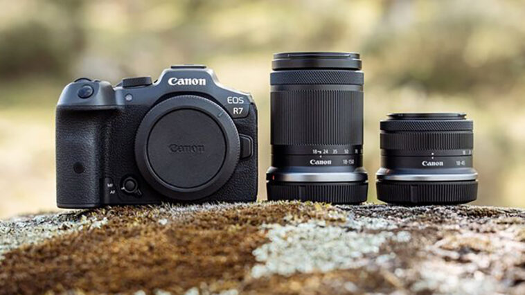 La Canon EOS R7 sobre una roca junto a dos lentes