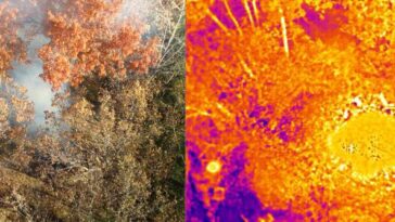 La investigación de sensores ayuda a combatir los incendios forestales