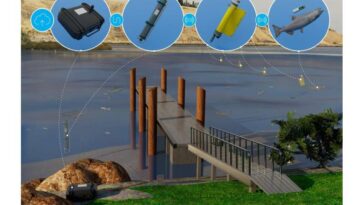 Seguimiento de peces más rápido a través de la nube