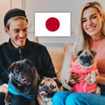 Gobernador japonés promueve el turismo con los perros de PewDiePie