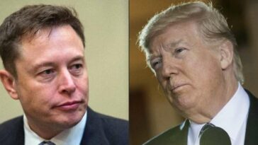 "¡Fascinante ver la encuesta de Trump en Twitter!"  Elon Musk tuiteó