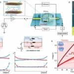 Un novedoso sistema integrado de dispositivos neuromórficos