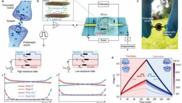 Un novedoso sistema integrado de dispositivos neuromórficos