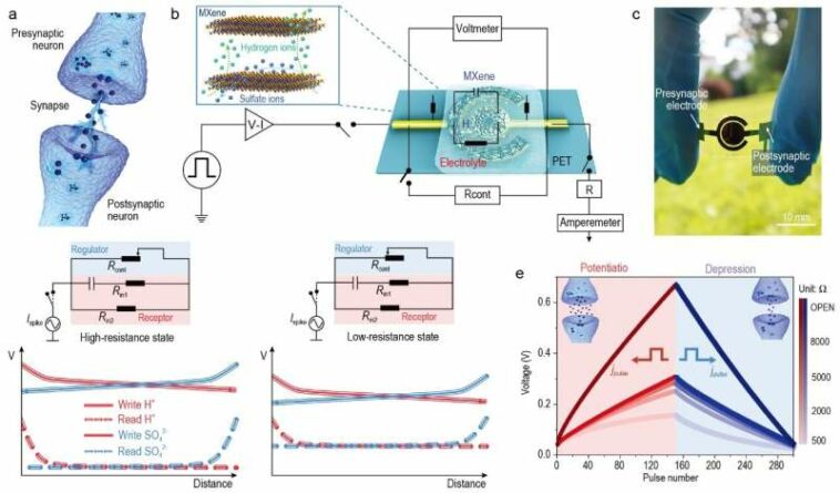 Un novedoso sistema integrado de dispositivos neuromórficos