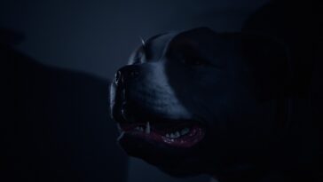 The Devil In Me Save The Dog Connie Dog Alive Final más feliz Logro