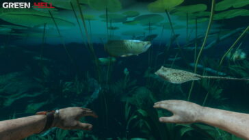 Cómo deshacerse de la intoxicación alimentaria en las causas del infierno verde