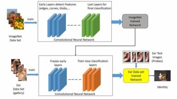 La nueva tecnología de reconocimiento facial escanea tu oído