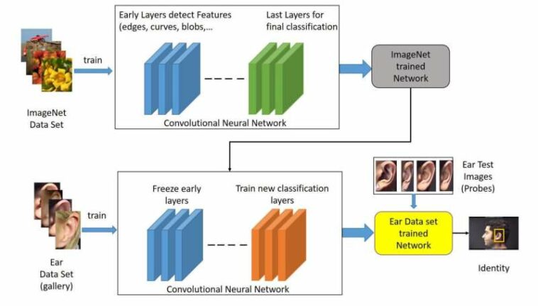 La nueva tecnología de reconocimiento facial escanea tu oído