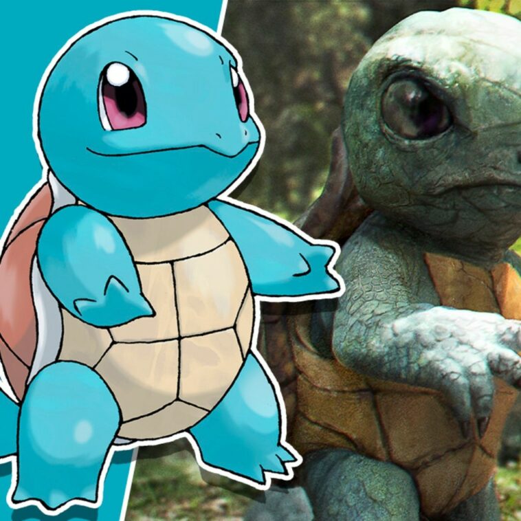 Un fan art de Pokémon nos permite ver como luciría Squirtle en la vida real