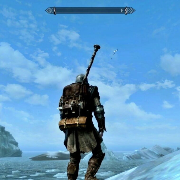 Un jugador de Skyrim se encontró unos peces "nadando" en el aire