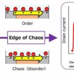 Desarrollo de un dispositivo iónico capaz de procesar información similar al cerebro