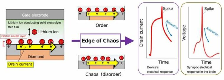 Desarrollo de un dispositivo iónico capaz de procesar información similar al cerebro