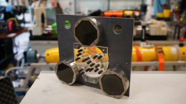 Sonda compacta inspirada en delfines para imágenes acústicas subacuáticas mejoradas