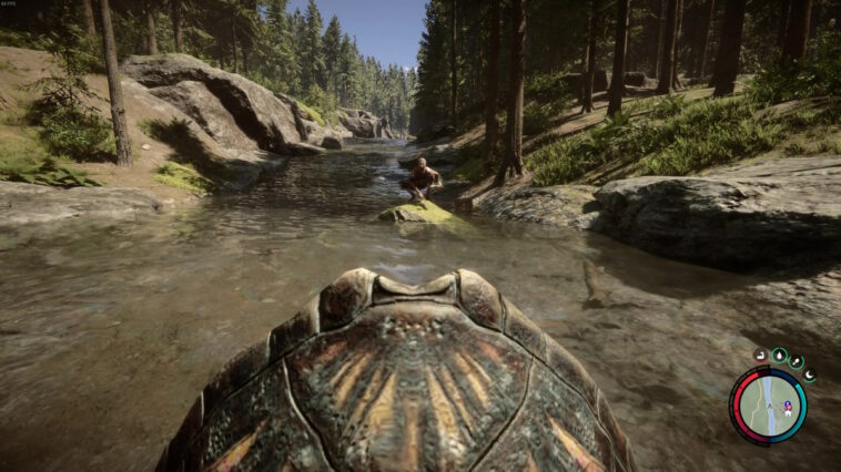 Cómo usar el caparazón de tortuga en Sons Of The Forest Friend