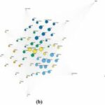 La geografía y el idioma dictan las redes sociales y el uso popular de sitios web, según un estudio