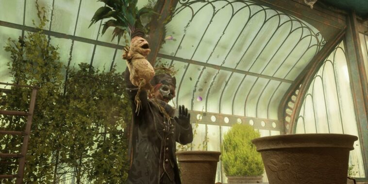 Hogwarts Legacy Mandrake Dónde encontrar Cómo obtener Mandrake