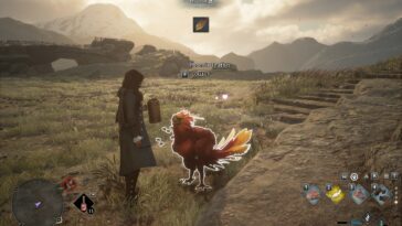 Dónde conseguir plumas de fénix en Hogwarts Legacy Feed Phoenix