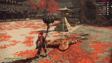 Acabado de la ubicación del caparazón pequeño de corazones salvajes