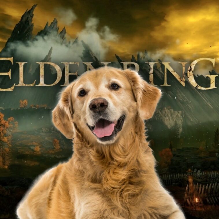Un jugador encontró un perro amistoso en Elden Ring, incluso se deja acariciar