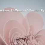 papel rosa enrollado como pétalos de flores con el texto Actualización de características de Windows 11 Moment 3 flotando sobre él