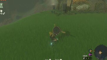 Terminal de carga de la torre Skyview de la montaña Totk Ulri