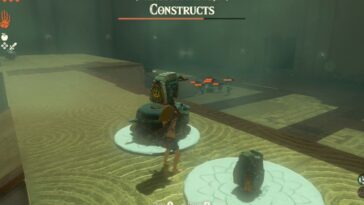 Santuario Totk Mayachideg inspeccionando a la multitud de constructores