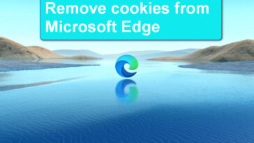 Esta ilustración muestra las palabras Eliminar cookies de Microsoft Edge flotando sobre una hermosa cala de agua azul.