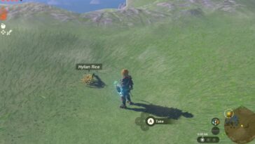 Cosecha de arroz totk hyliano en el este de Necluda