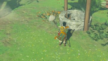 Totk Link mirando un pozo con una escalera