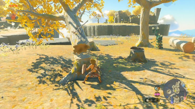 Zelda Tears Of The Kingdom Chop Trees