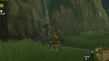 Totk Sticky Frog en la pared del cañón cerca de Kakariko Village