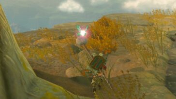 Hada totk atrapada en la isla de la valentía